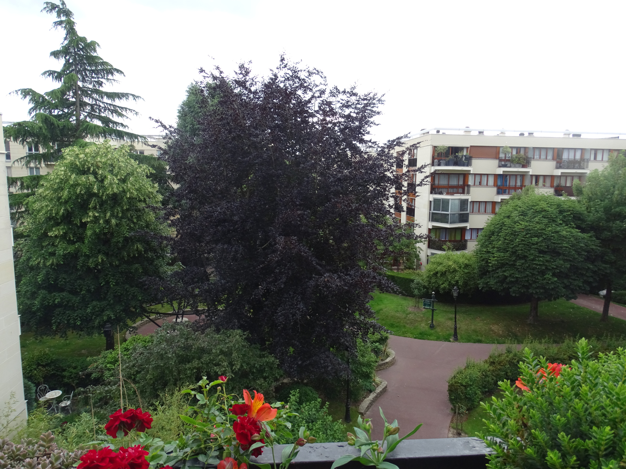 Vente appartement studio 1 pièce 26.71 m² à Le Chesnay (78150)