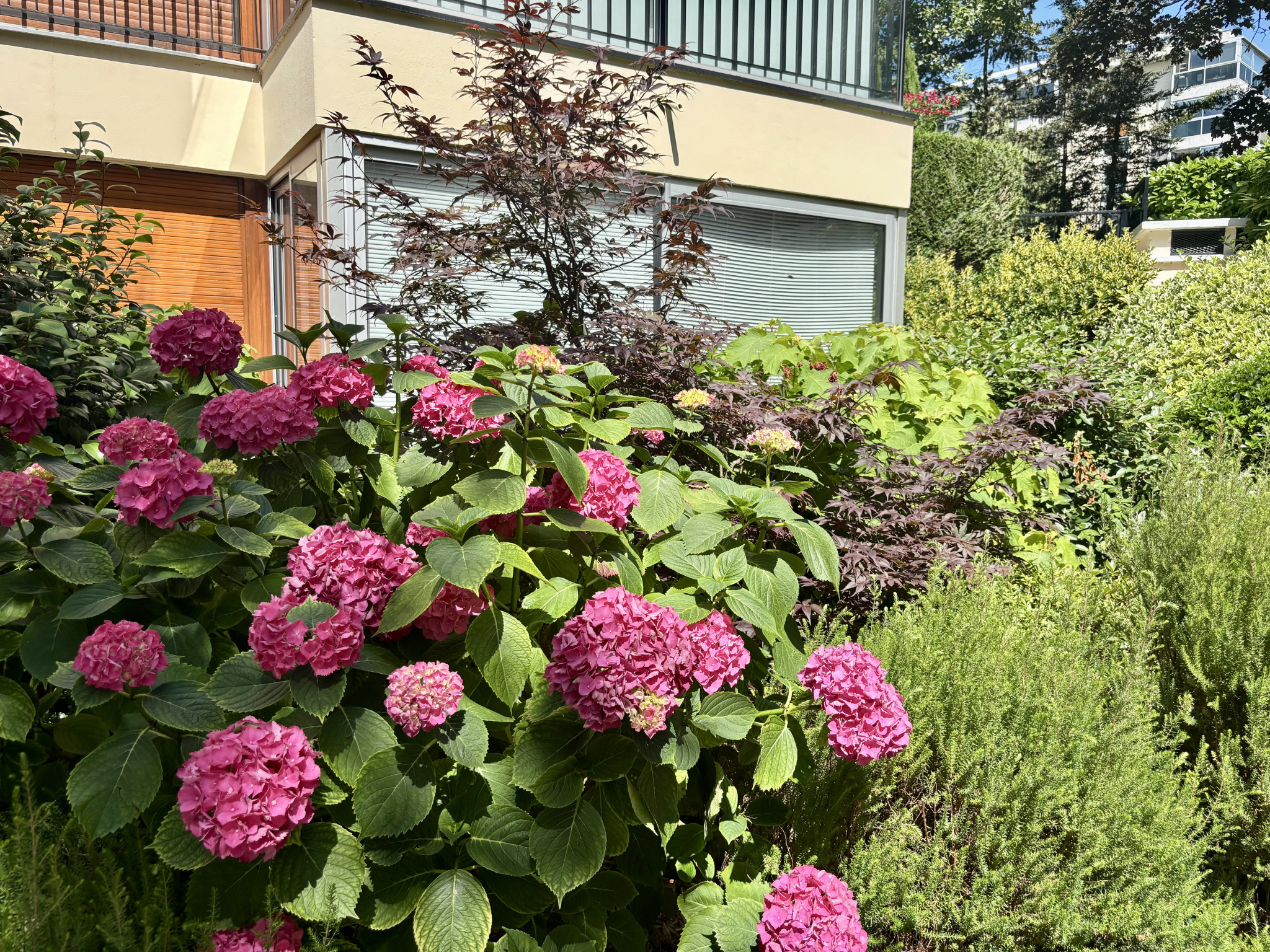 Vente appartement studio 1 pièce 34 m² à Le Chesnay (78150)