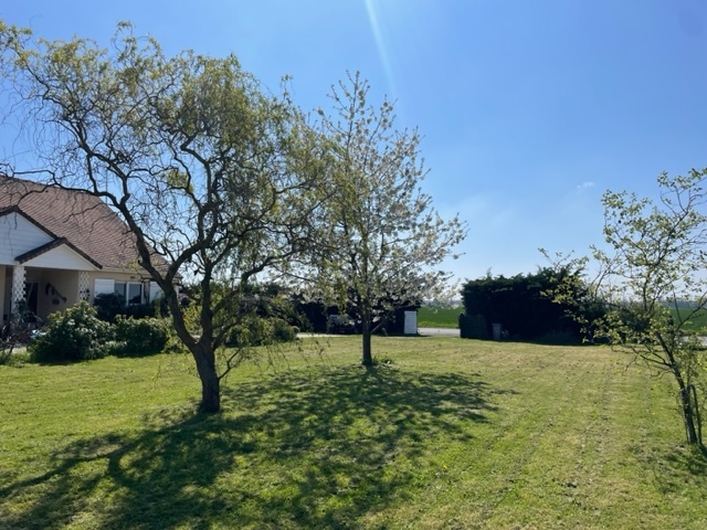 Vente terrain à Les Écrennes (77820) Campagne